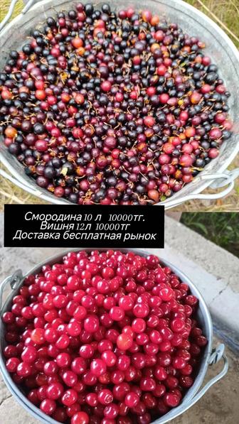 Продам дачный ягоды