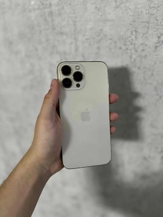 iPhone 13 Pro Max 512GB 100%