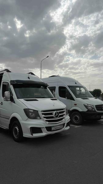 Автобусы в аренду от легковых до 50 мест