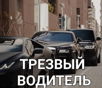 Трезвый водитель