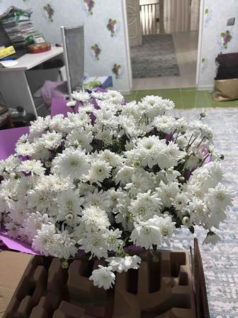 Продаются цветы