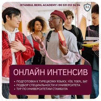 Онлайн подготовка YÖS + SAT, TOEFL, TÖMER. Поступление в Турцию