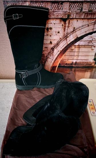 Сапоги женские