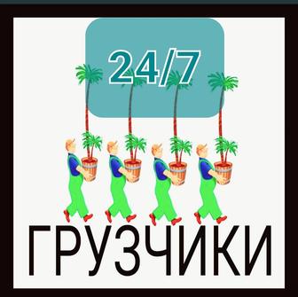 Услуги грузчиков 24....7