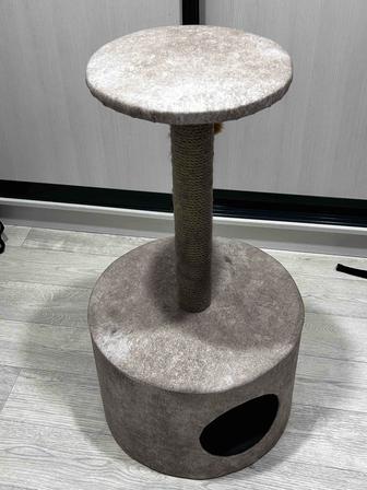 Когтеточка