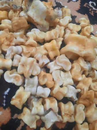 Қойдың асығы сатылады