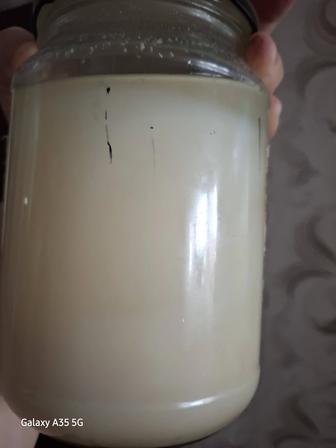 Продам сурчиный жир