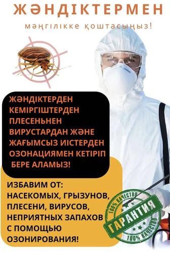 Дезинфекция от тараканов, блох, клопов