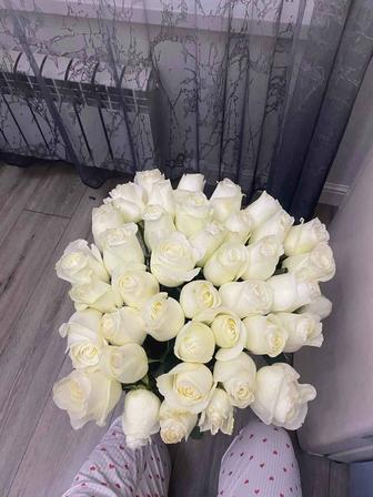 Цветы, букет, розы