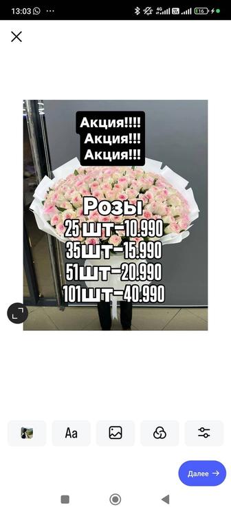 Цветы ,розы .
