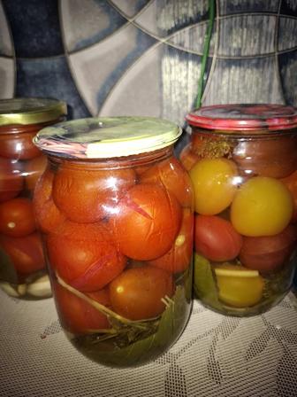 Помидор соленые