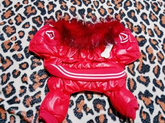 Продам одежду для собак