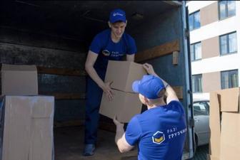 Грузчики не дорого