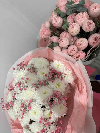 Срочно букет Хризантем продам