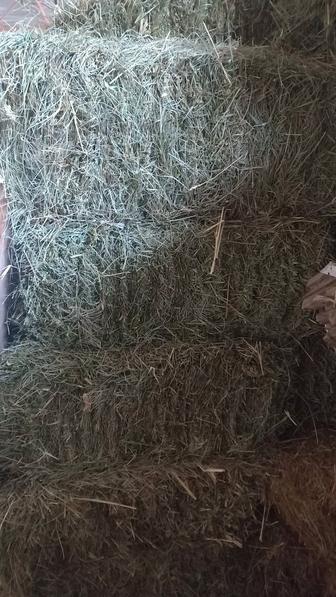 Сено, Солома, Клевер.