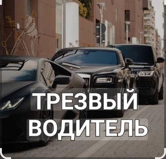 Трезвый водитель
