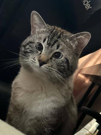 Ветеринарная клиника Шанс