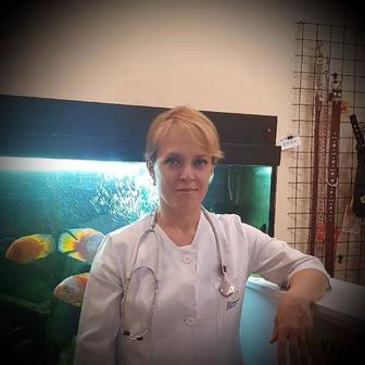 Ветеринарная клиника Шанс