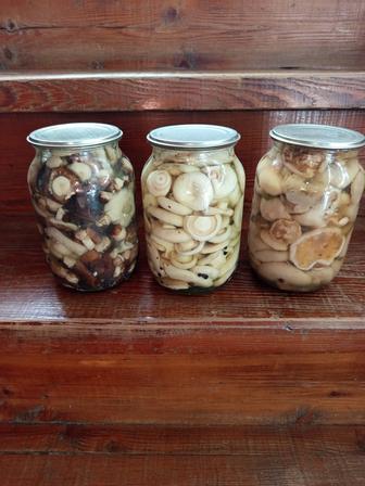 Продам грибы маринованные