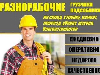 Разнорабочие