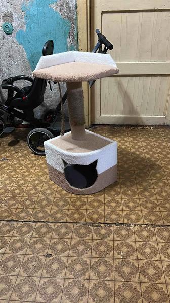 Дом для кошек котов