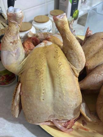 Домашный броллер