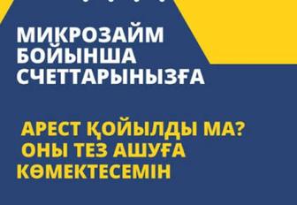 Микрозайм АРЕСТ ШЕШУ