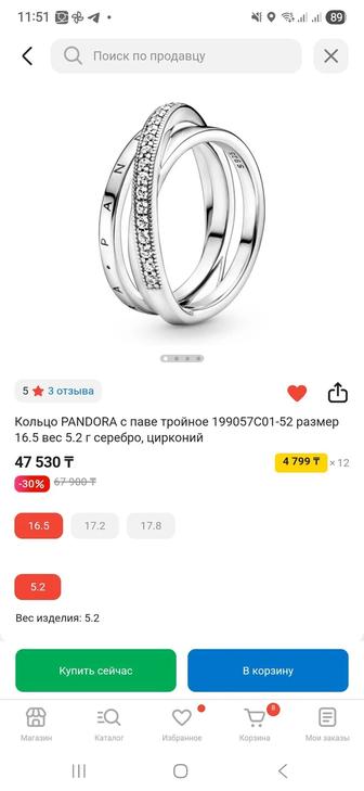 Панорама кольцо