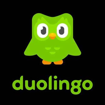 Duolingo подписка 1 год