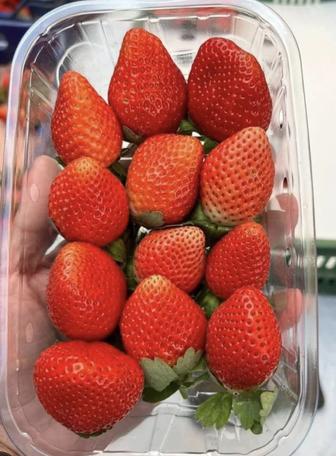 Клубника свежая Египетские