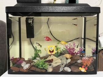 Продам аквариум с рыбками