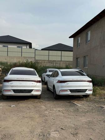 В аренду гибрид BYD Qin Plus DM-i и Электро HonQi