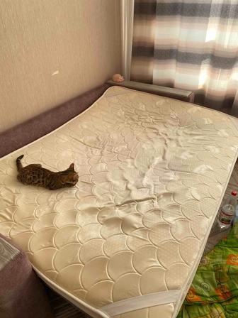 Продам топпер-матрас