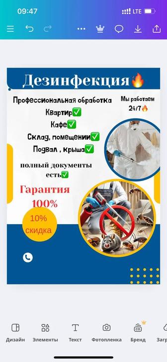 Дизенфекция Клопов,Тараканы Алматы Качественно и быстро избавим вас от клоп