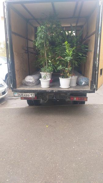 Газель Перевозка груза