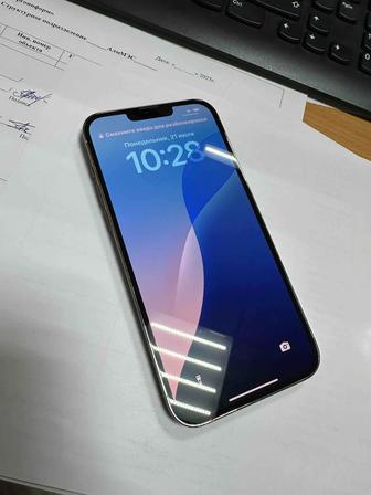 iPhone 13 Pro Max 256
