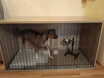 Клетка для собак
