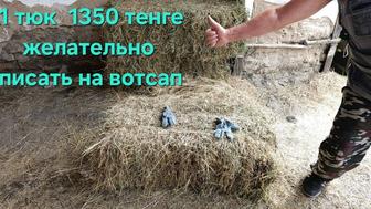 Сено в тюках
