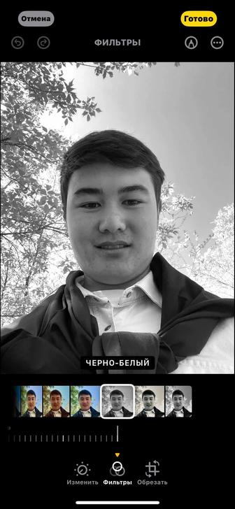 Куратор