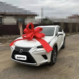 Прокат бант на машину