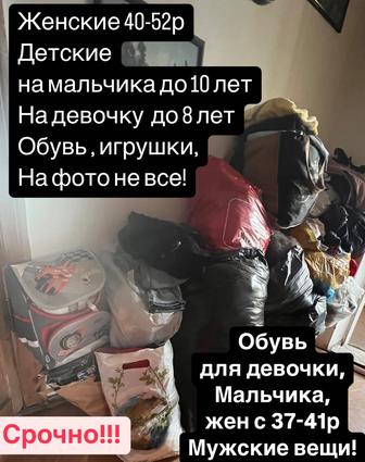 Платья, шуба, куртки