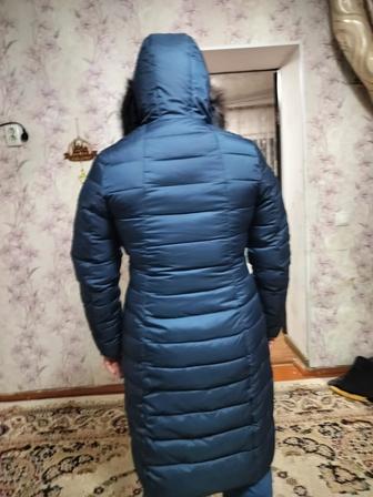 Чернабурка!