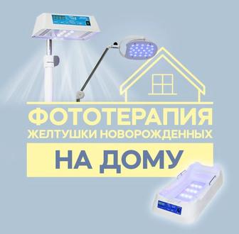 Аренда Фотоламп