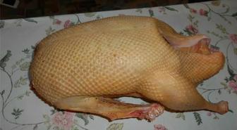 Гуси домашние