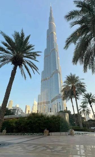 ОАЭ- Алматы, КЗ,РФ - ОАЭ- Алматы ,КЗ,РФ