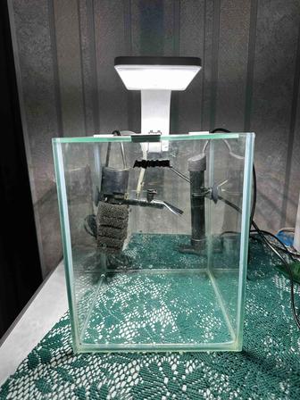 Аквариум,аквариюм,рыбки,рыбка,фильтр,свет,балық,обогреватель,