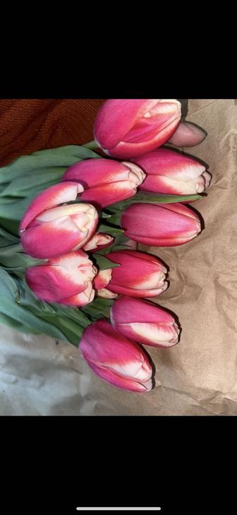 Тюльпаны в продаже