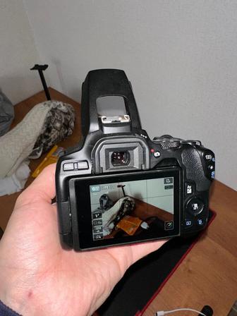 Canon 250d