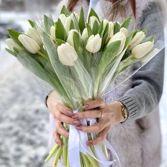 Предзаказ на тюльпаны