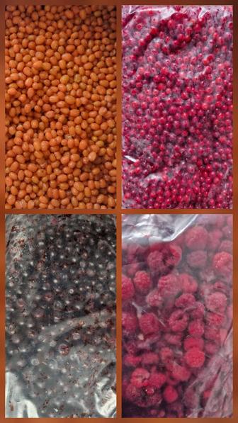 Замороженная ягода